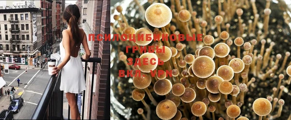 дмт Аркадак