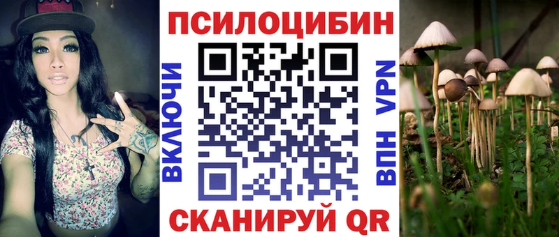Галлюциногенные грибы Psilocybine cubensis  Бабушкин 